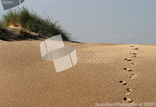 Image of footsteps in sand