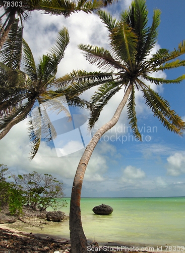 Image of tropical beach scene