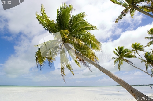 Image of tropical beach