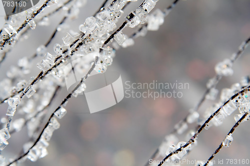 Image of Winter background