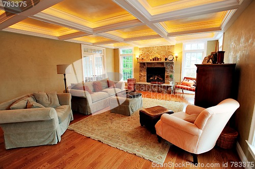 Image of Upscale Living Room Interior