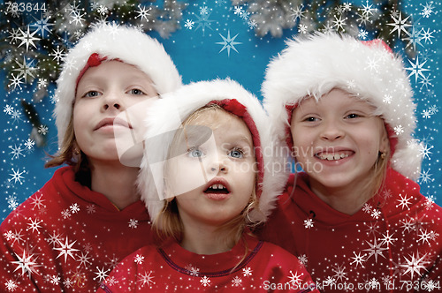 Image of Christmas portraits