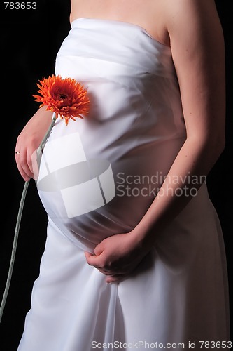 Image of Pregnancy