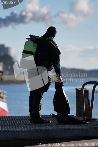 Image of Diver