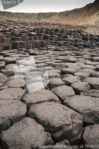 Image of Giants Causeway