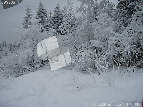 Image of Winterlandscape Frognerseteren in Norway
