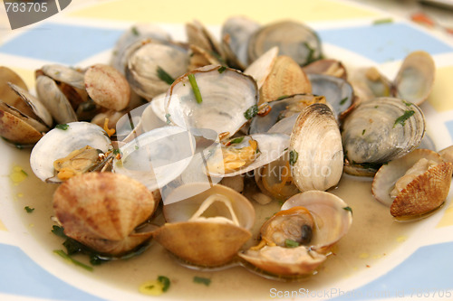 Image of beautiful and tasty clams