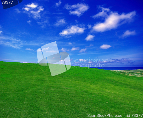 Image of green field