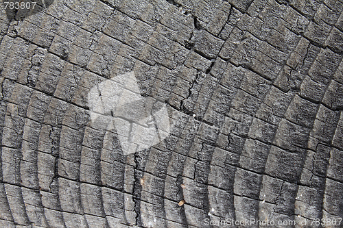 Image of Weathered wood