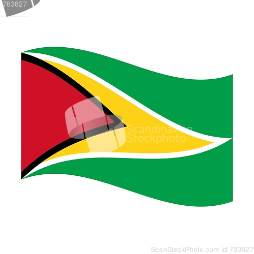 Image of flag of guyana