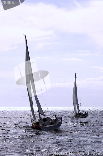 Image of Sailing in a championship