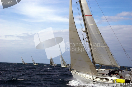 Image of Sailing in a championship