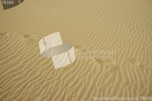 Image of Footprints in the sand