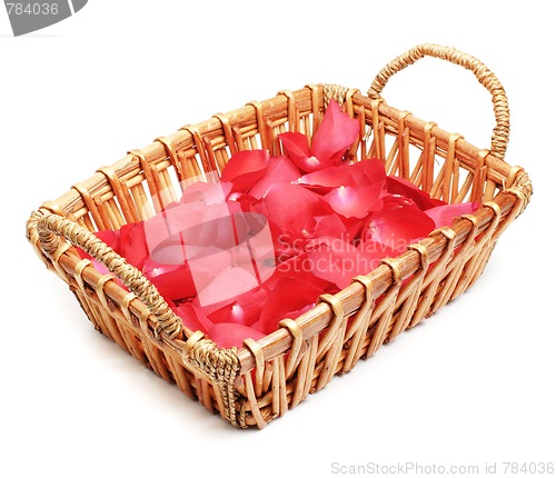 Image of Flower Petals in Basket