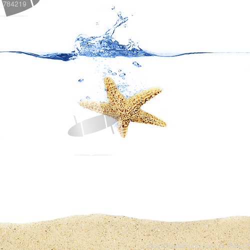 Image of Starfish Splash