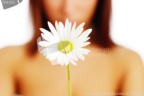 Image of Spa Flower
