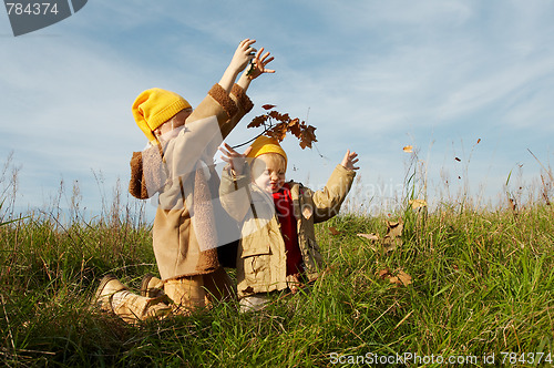 Image of Yellow caps gnomes