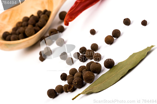 Image of spices