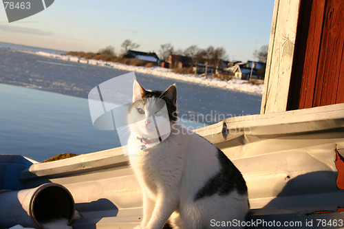 Image of harbour in sweden