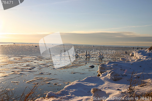 Image of harbour in sweden