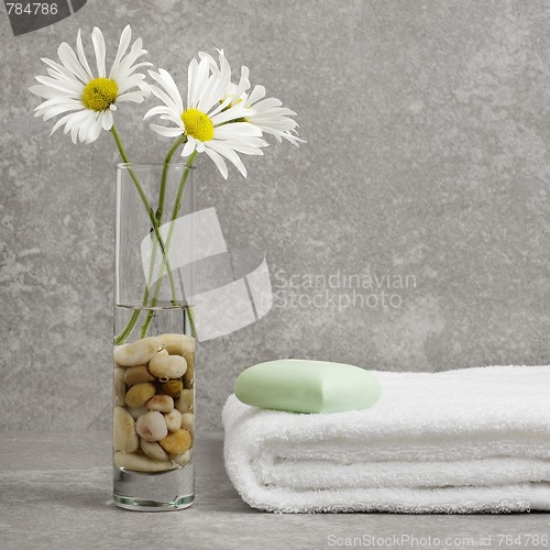 Image of Spa Display