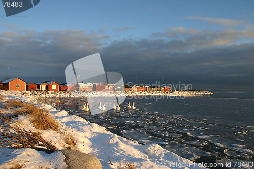 Image of harbour in sweden