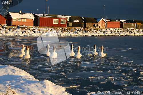 Image of harbour in sweden