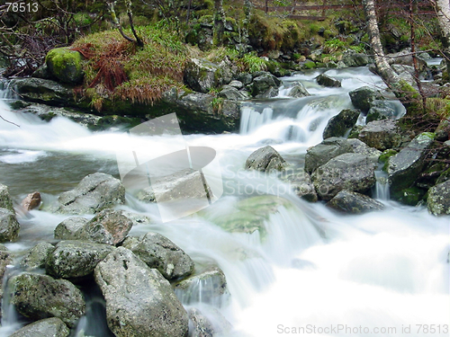 Image of Two Streams