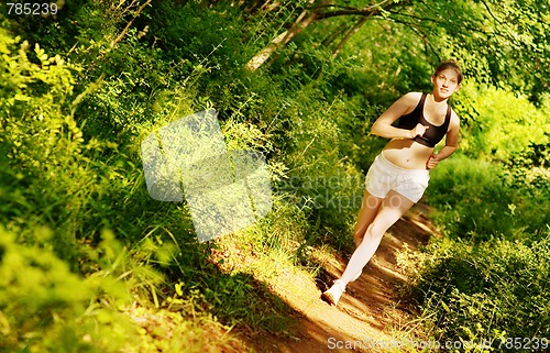 Image of Woman Trail Runner
