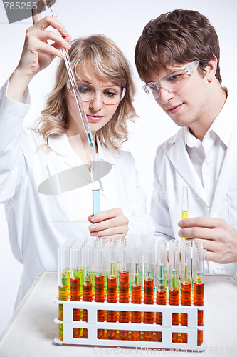 Image of Working scientists