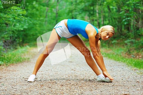 Image of Forested Road Runner