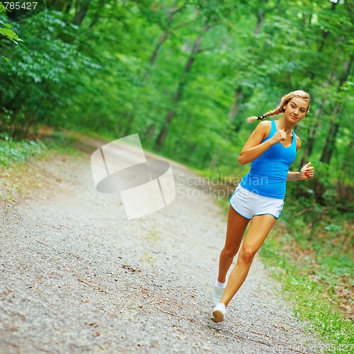 Image of Forested Road Runner