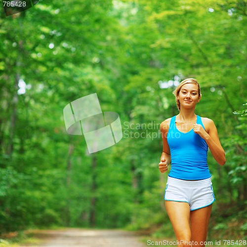 Image of Forested Road Runner