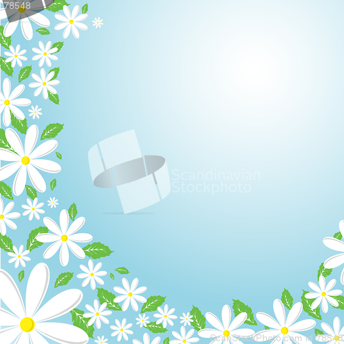 Image of Daisy background