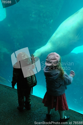 Image of Kids  touching seal