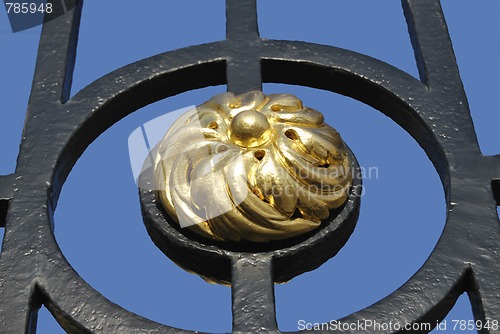 Image of Golden Flower