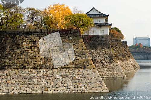 Image of The moat