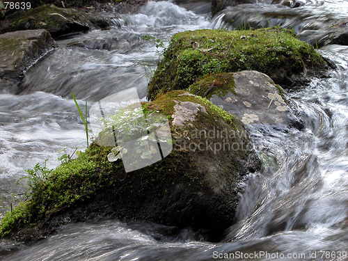 Image of River Detail