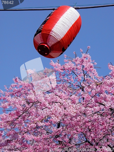 Image of Spring Lantern