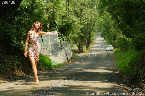 Image of Pretty Hitch Hiker