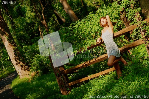 Image of Pretty Girl in Woods