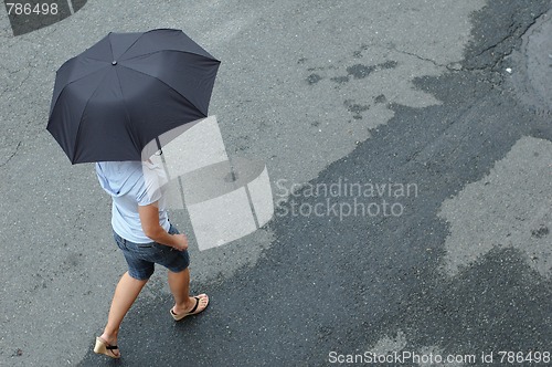 Image of Street Umbrella