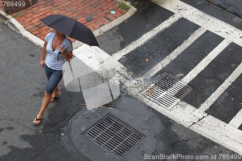 Image of Street Umbrella