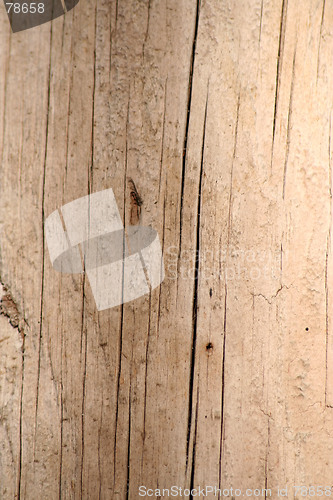 Image of wood texture