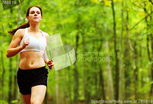 Image of Forest Runner