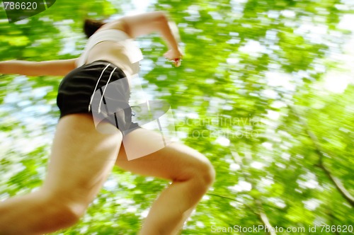 Image of Forest Runner