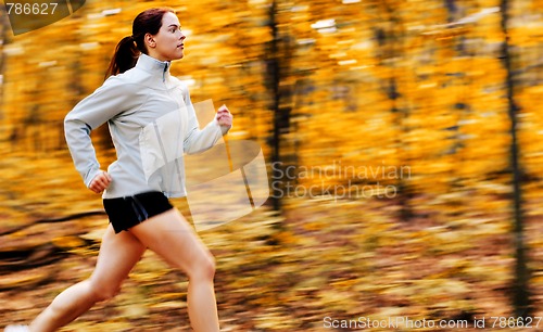 Image of Fall Forest Runner