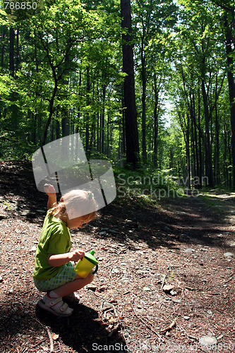 Image of Trip in the forest
