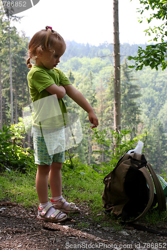 Image of Trip in the forest