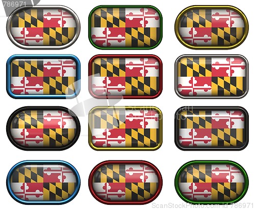 Image of 12 buttons of the Flag of Maryland